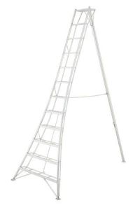 Tripod Orchard Ladder