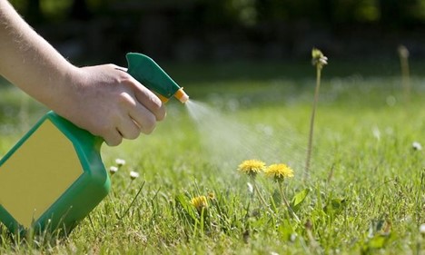 Insecticides and Weed Control