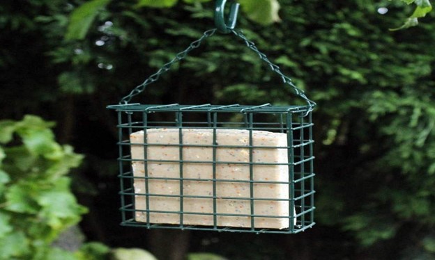 Suet &amp; seed cake feeders