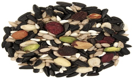 Fruit &amp; nut bird seed
