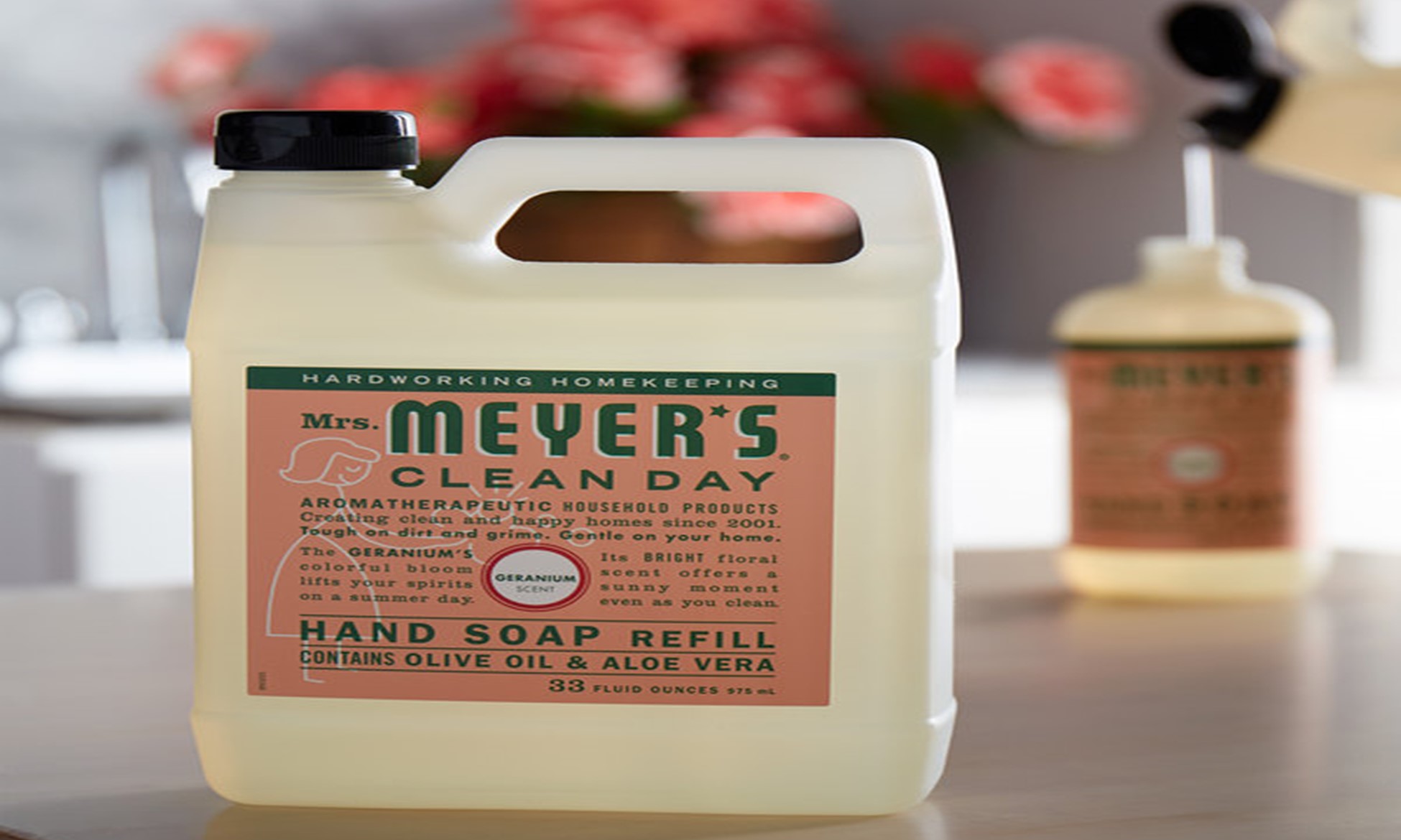 Hand soap refills